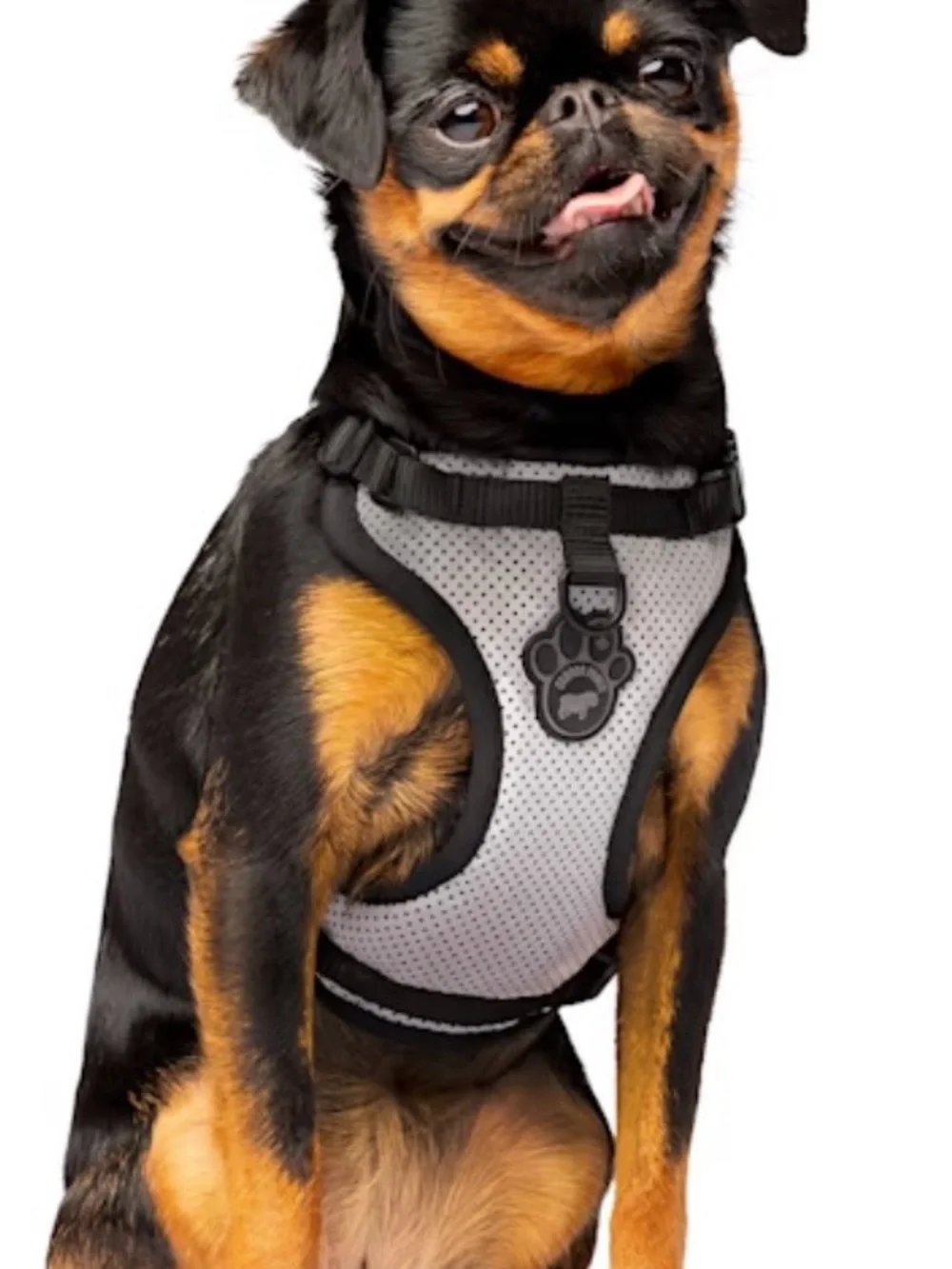 Canada Pooch Everything Dog Harness, Reflective